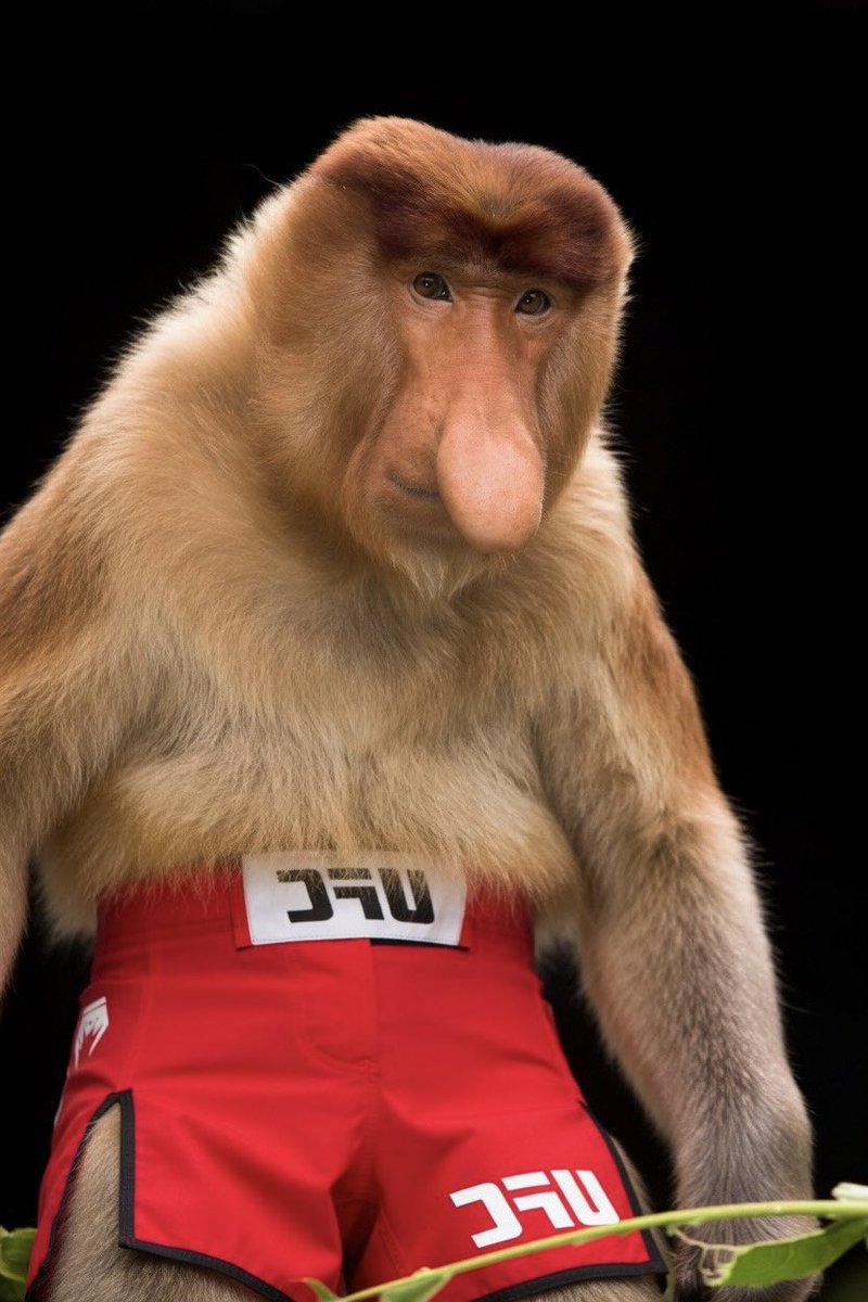 𝐆𝐚𝐥𝐚 tweet media