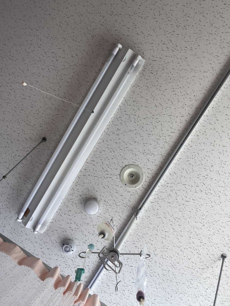 リニスタノーメイツ tweet media