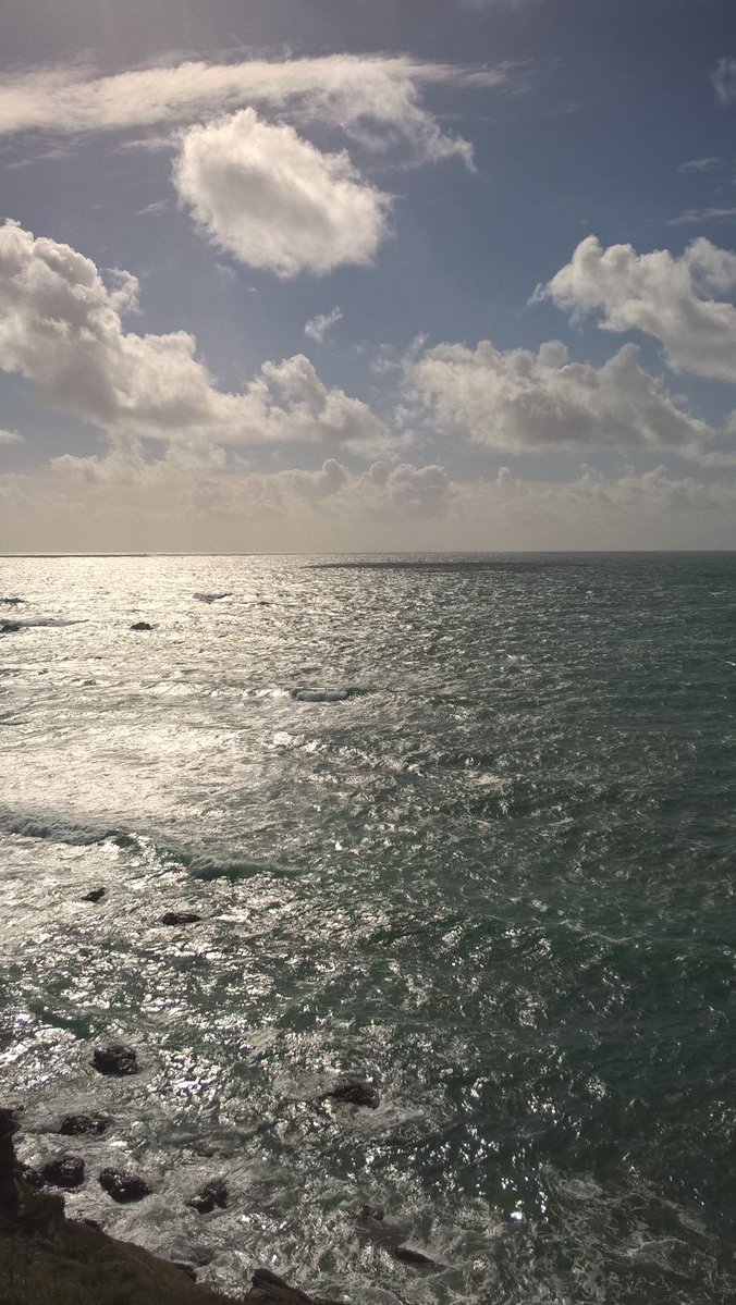 Shirley Salisbury tweet media