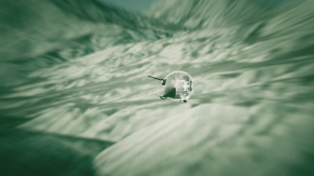 スーイ tweet media