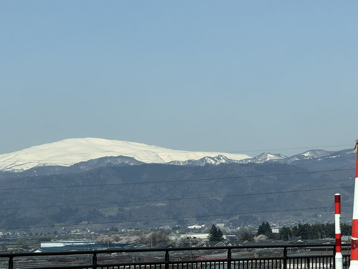 しろっこ🦍 tweet media