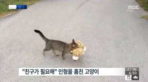 만 (반동결❄) tweet media