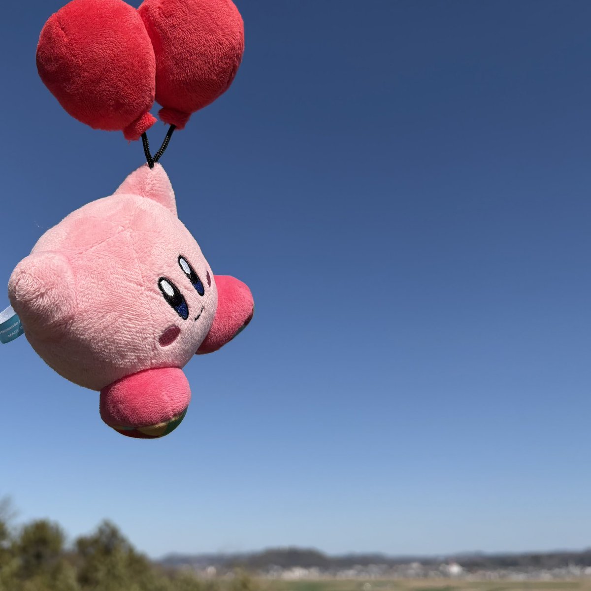 みみこむ。 tweet media