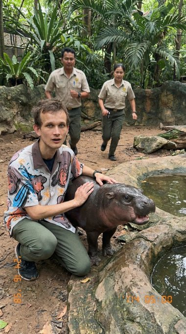 Fan Page | Moo Deng tweet media