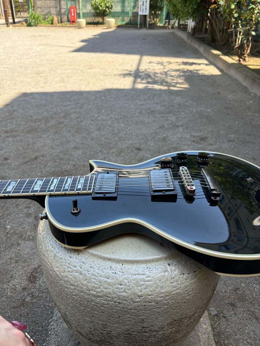 たもつ/野木 存 tweet media