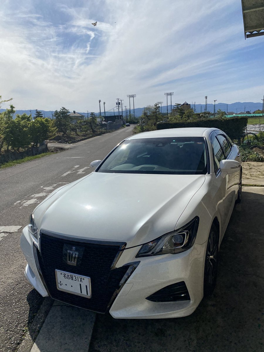 オシリス tweet media