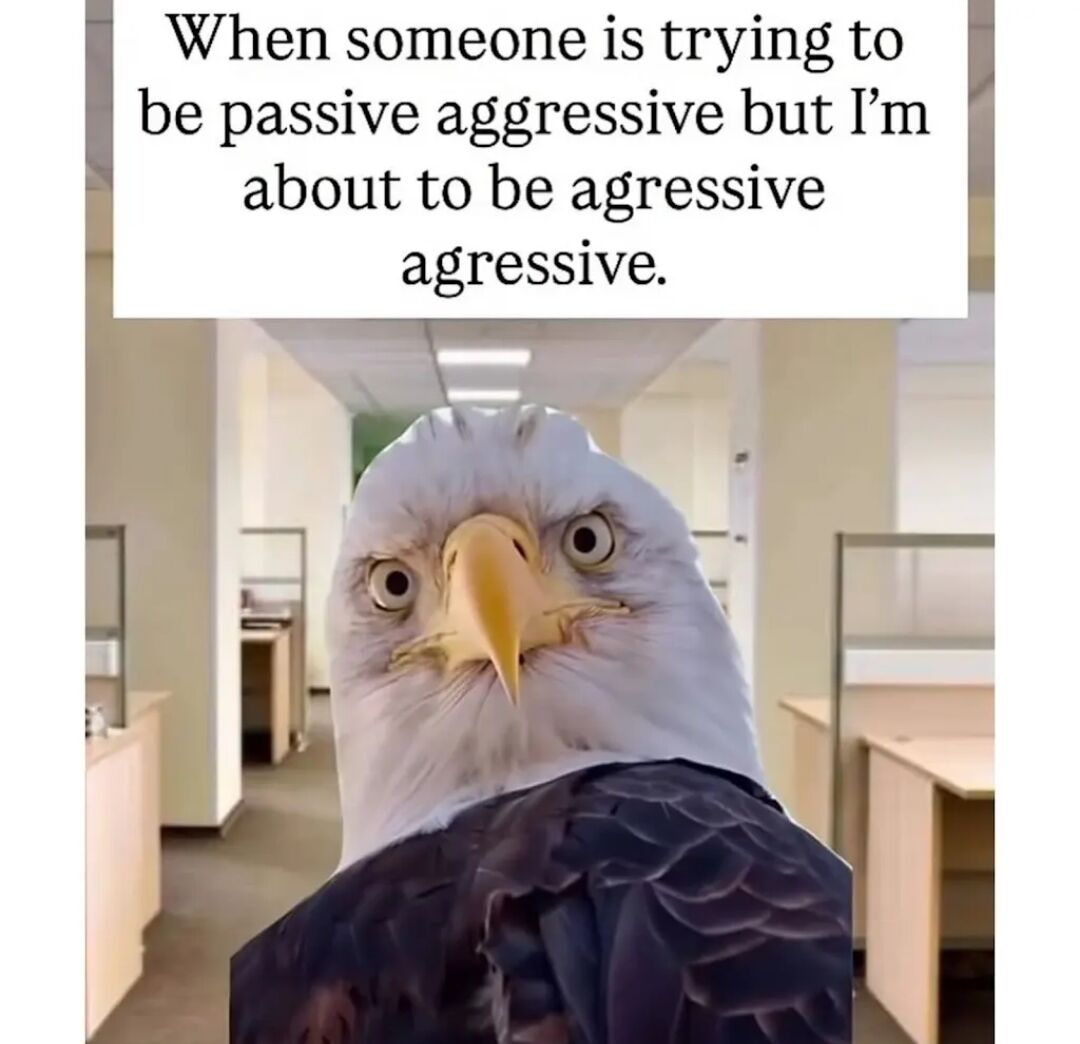 WholesomeMemes tweet media