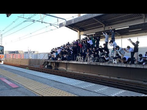 勿忘草 tweet media