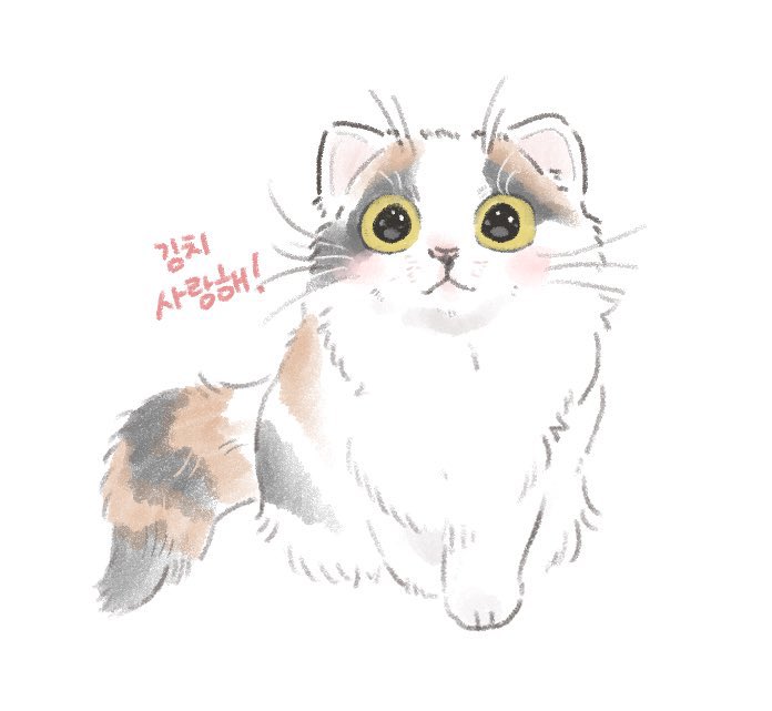 キムチ母‼️ tweet media