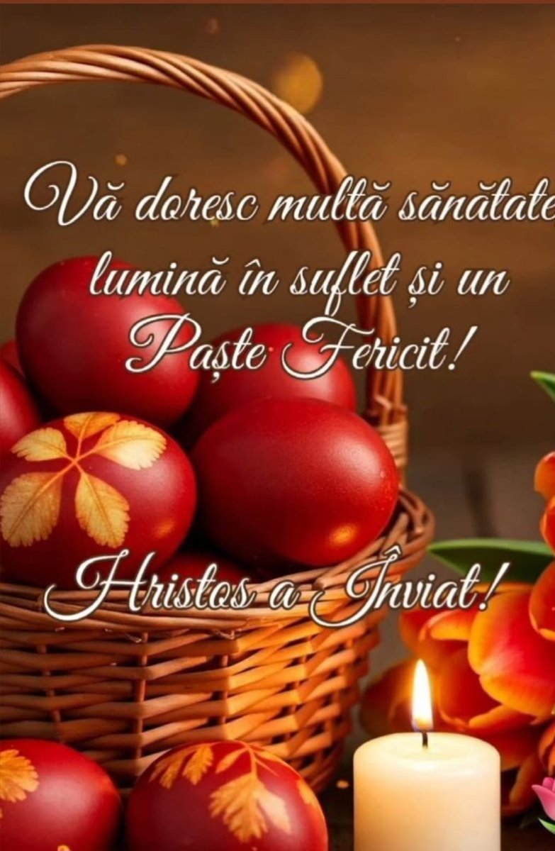 Bididia💫 tweet media