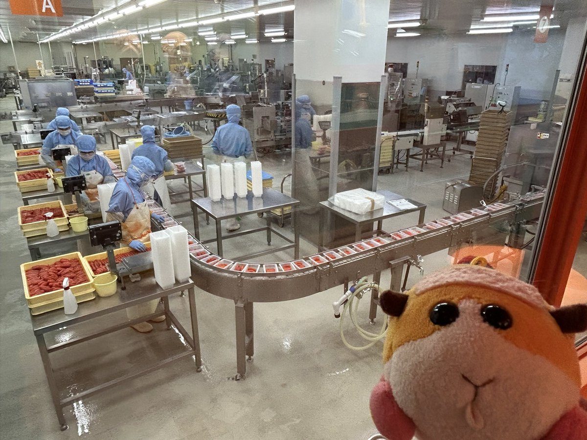 よういち tweet media