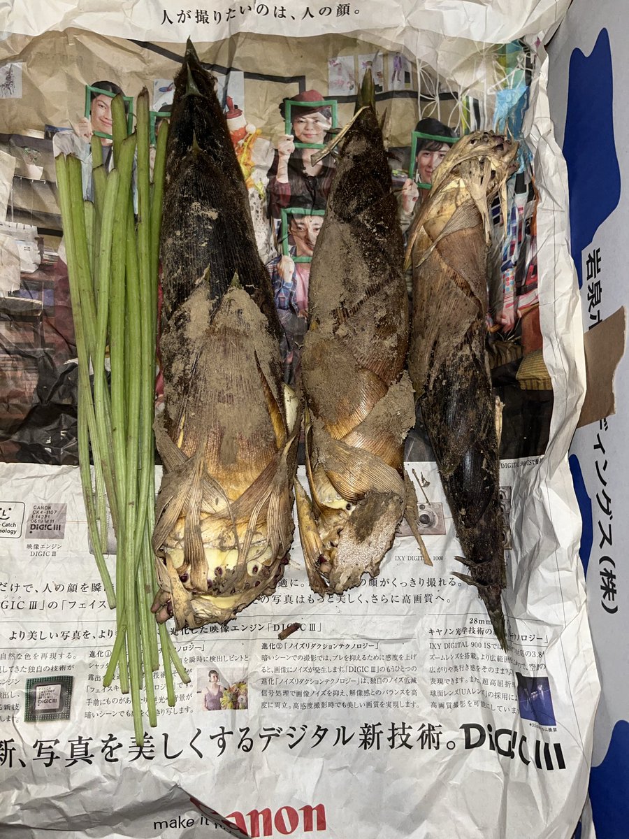 おらドラえもん tweet media