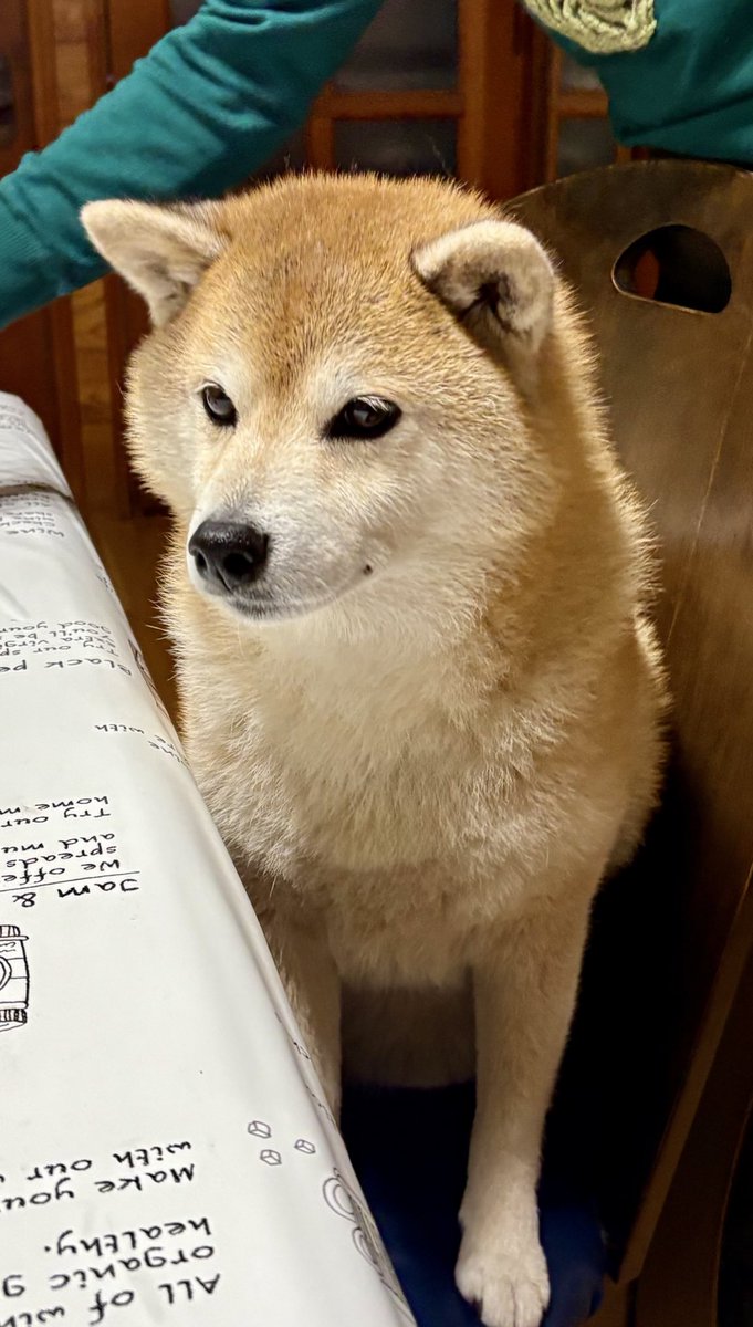 💖柴diary💝 tweet media