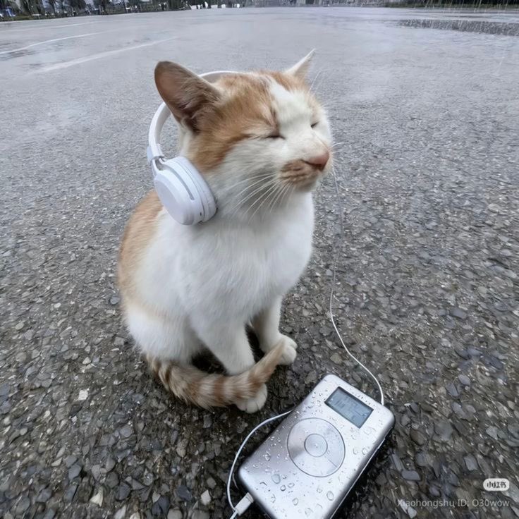 rian¹² ⋆.ೃ࿔ tweet media