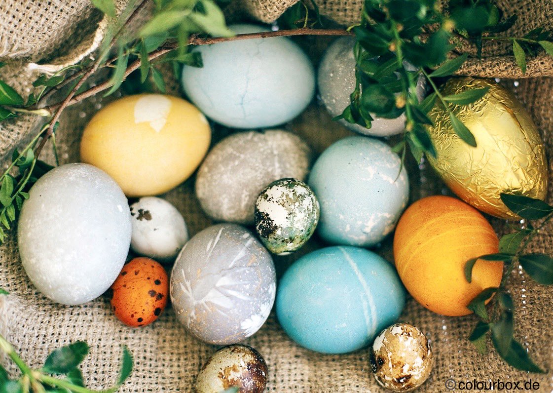 Pascal Hector tweet media