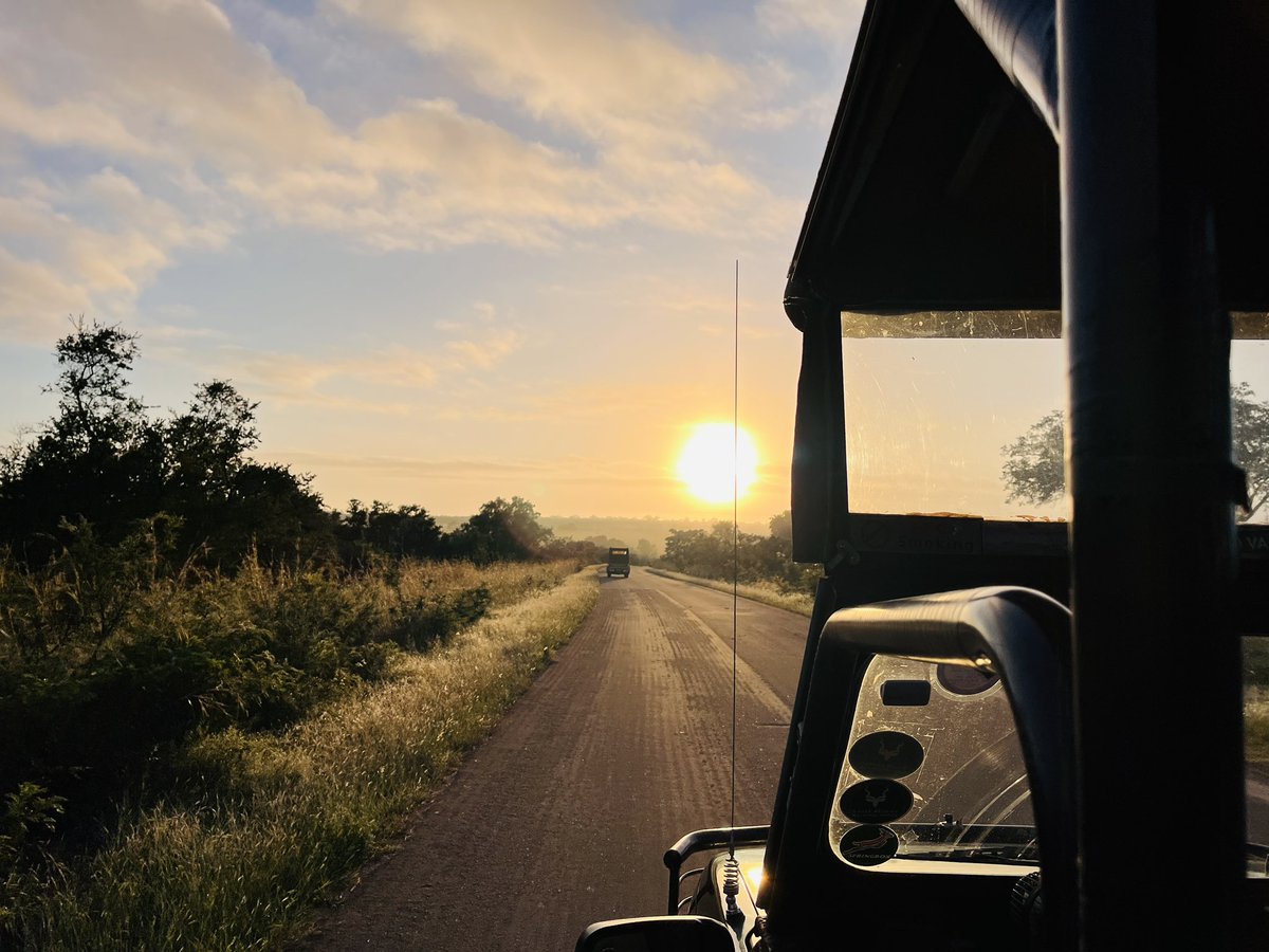 九兵衛@アフリカ駐在の人 tweet media