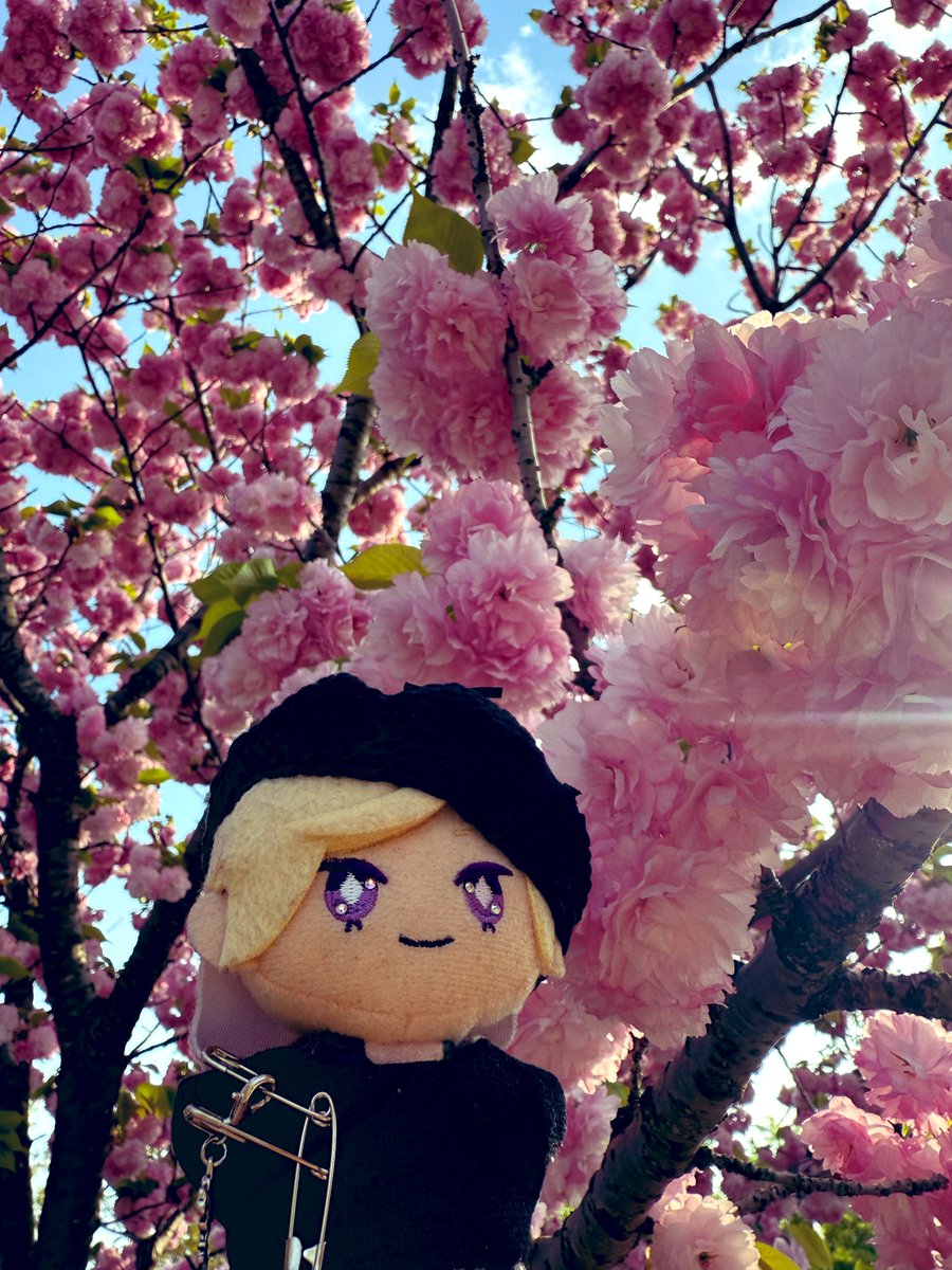 つづく🌞🌛 tweet media