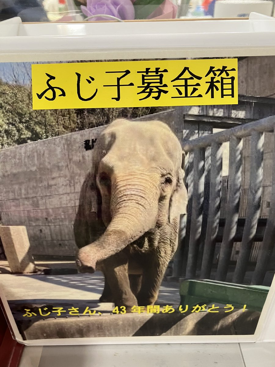 米津パンダさち子(米津さち子) tweet media