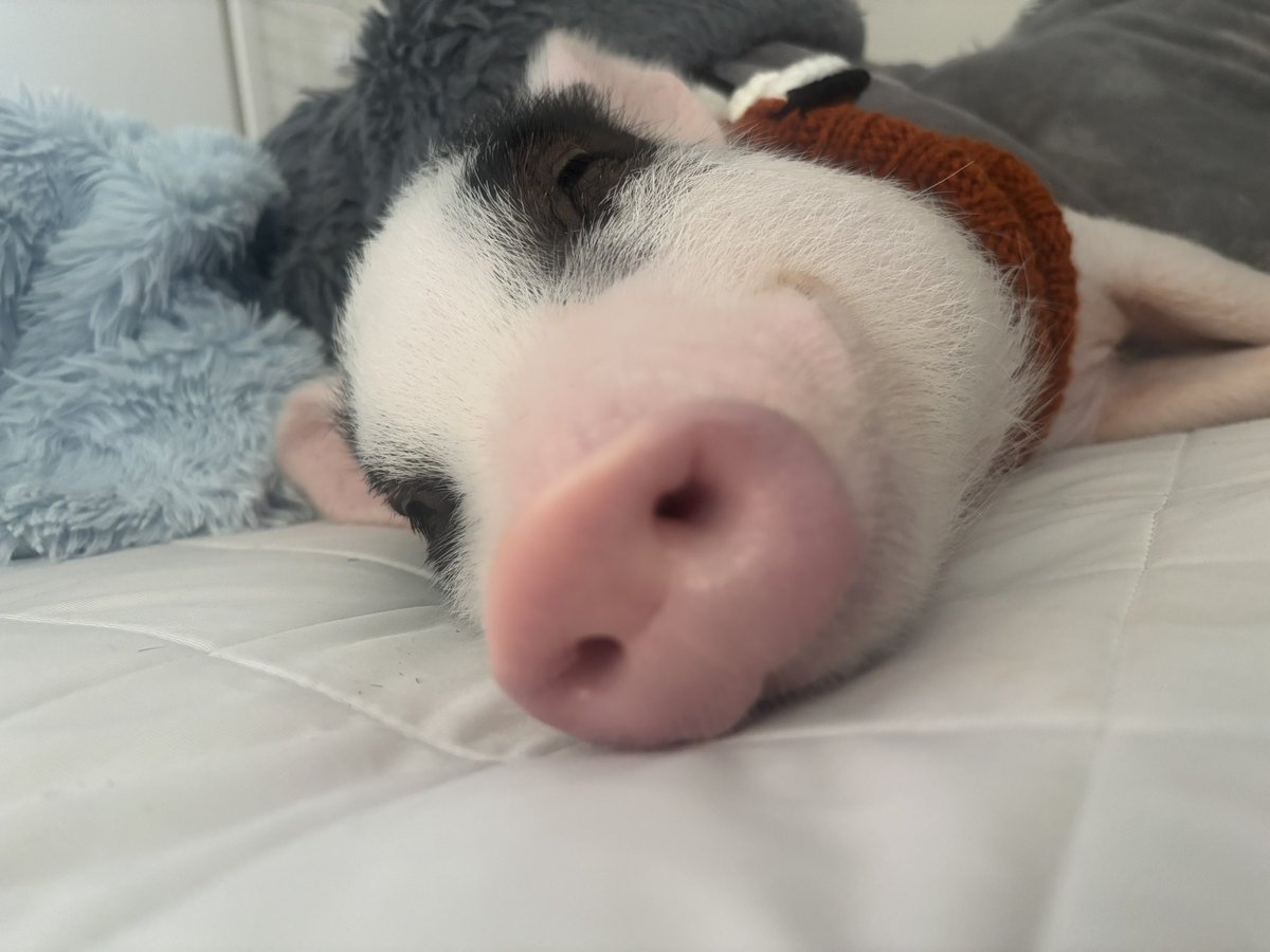 まりお tweet media