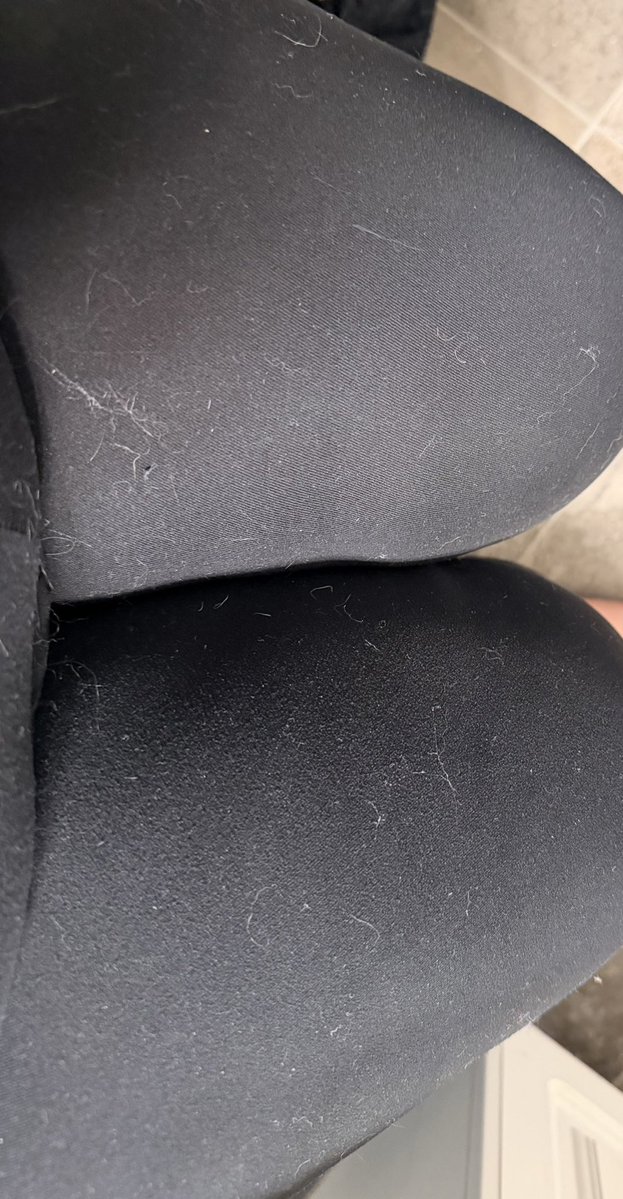 Sable !! tweet media