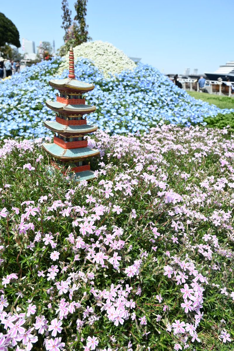 0609_ex's tweet photo. 山下公園散歩
猫じゃらしを目をつぶってスルーする猫の置物、猫の表現として秀逸すぎる https://t.co/H8b3hTKMqe