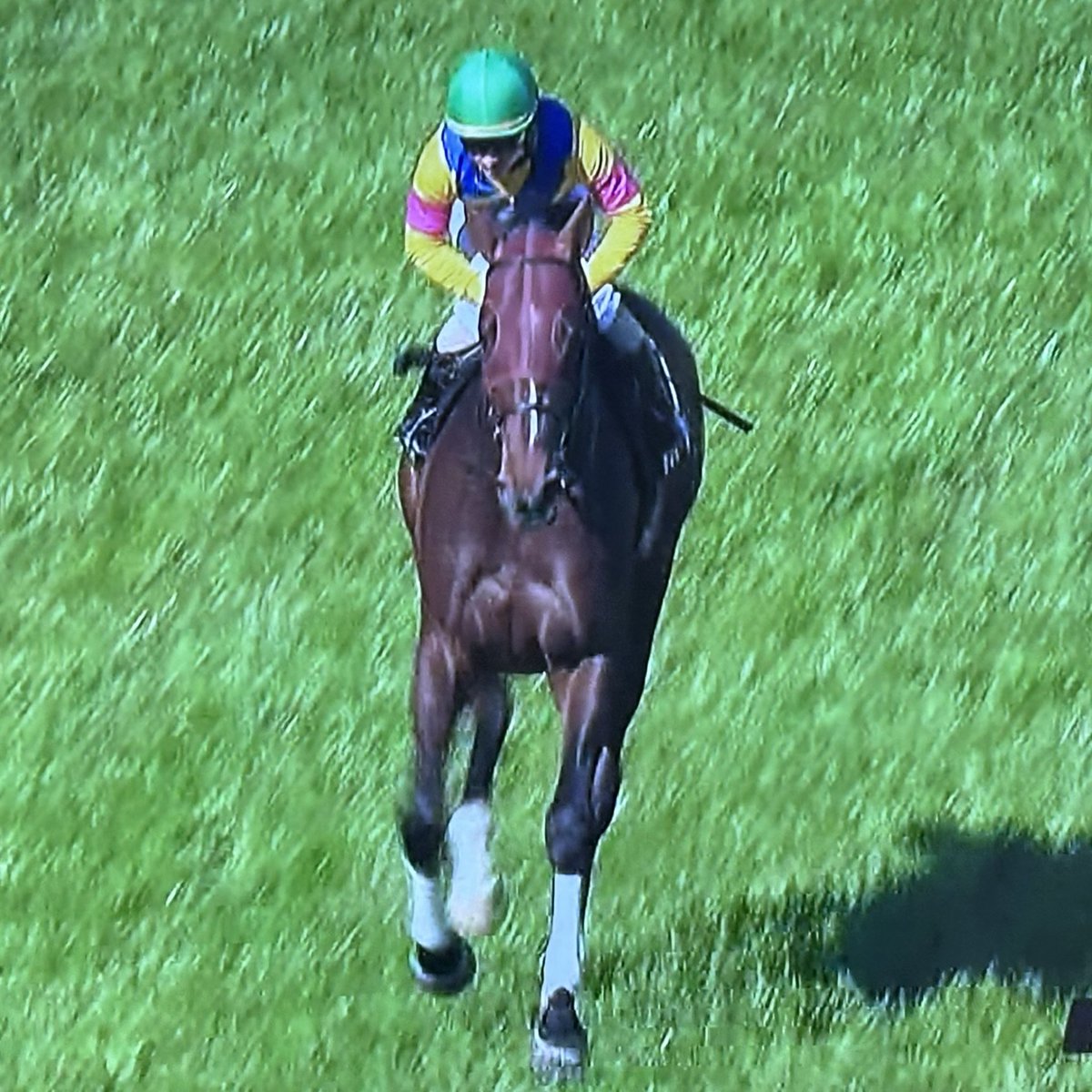 あっきい🐾 tweet media