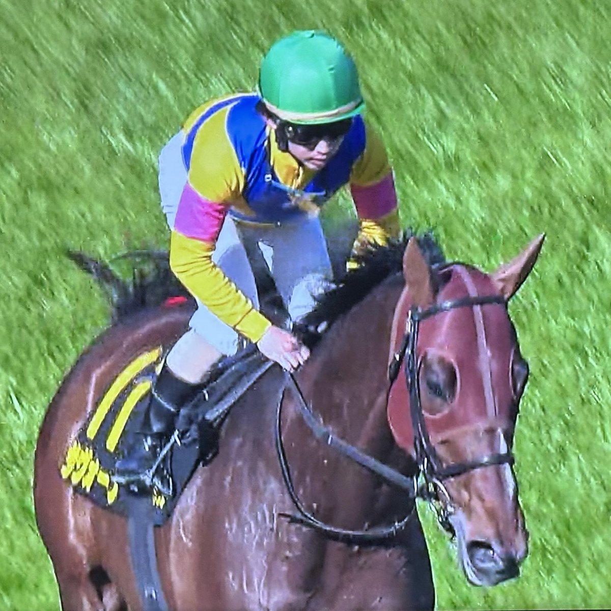 あっきい🐾 tweet media