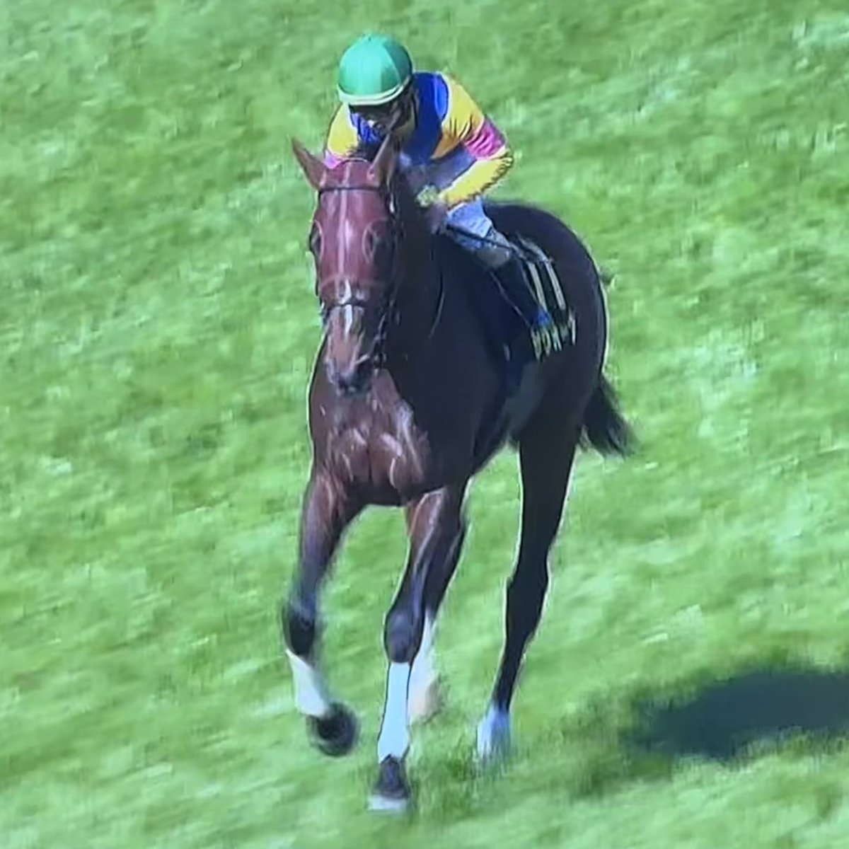 あっきい🐾 tweet media