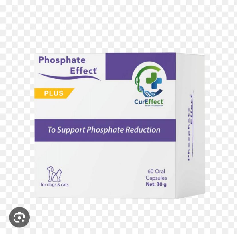 Lattevekardeşleri tweet media