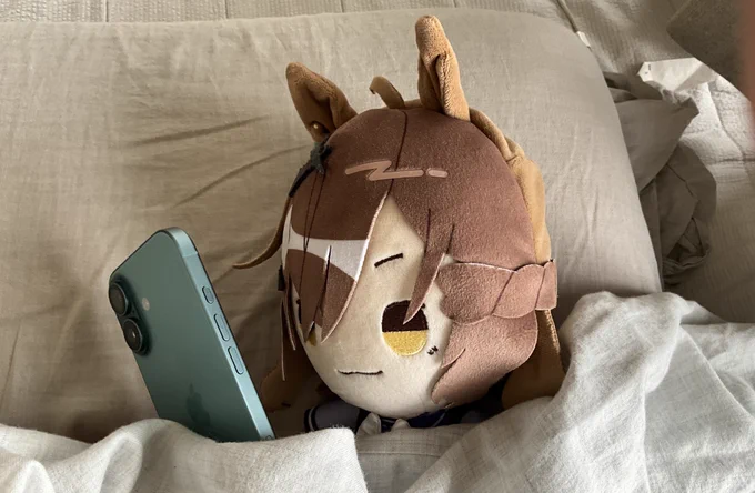 相棒フォロバおそいなー