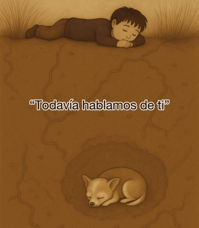 ANIMALITOS SANADORES tweet media