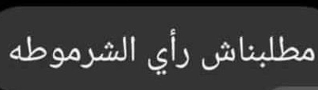 Nour Basyouny tweet media