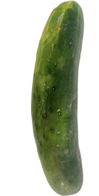 The natural sex toy for ladies