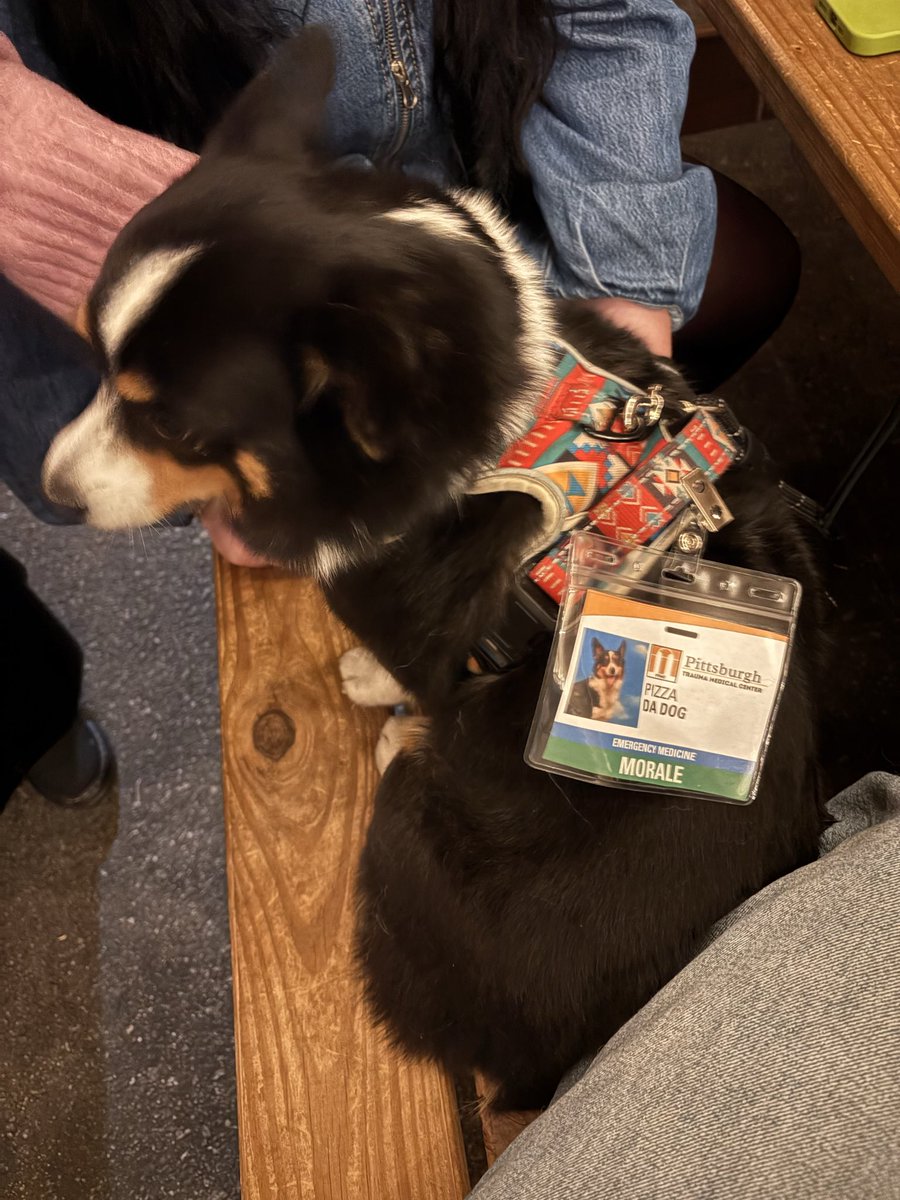 Deam 🍓✨ tweet media