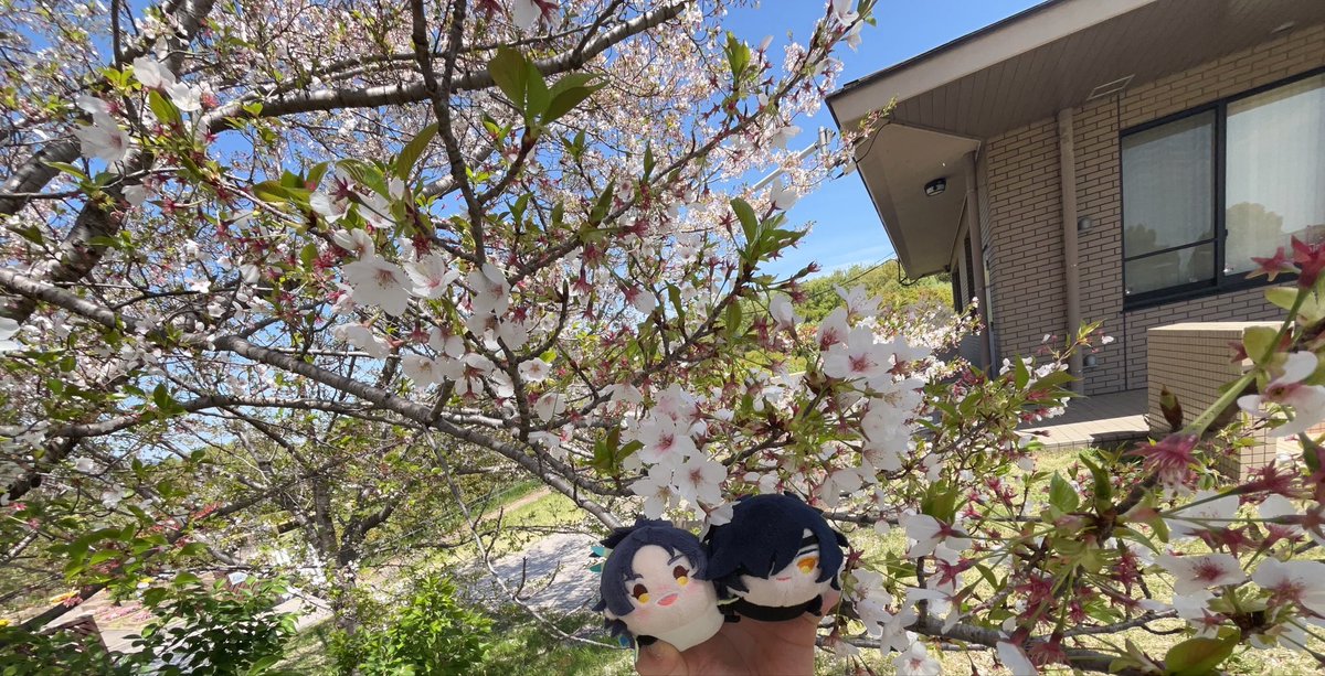 ん ば 💭 tweet media