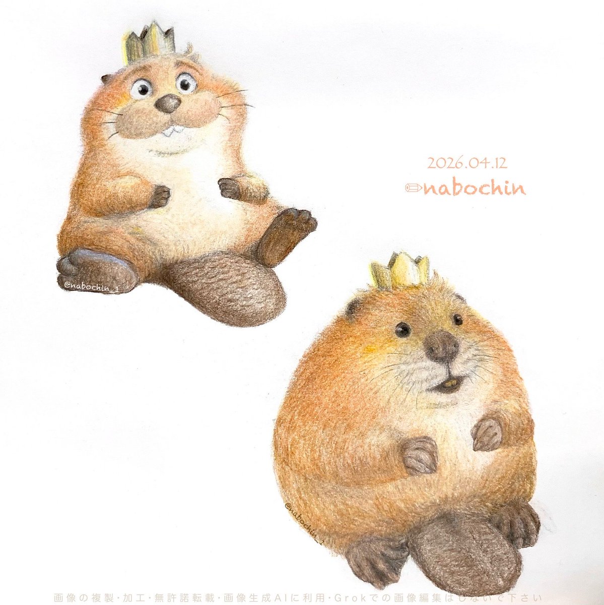 なぼちん tweet media