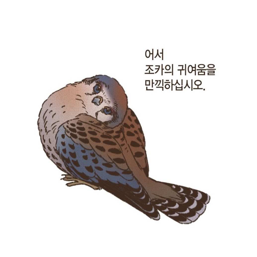 엔네아드 2-1 18화 (07:22)
빨리 귀여워 하라고 매랄하는 트랙 찾으시는 분들 여기입니다