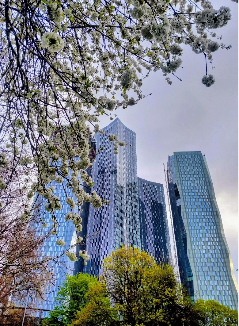 MonicaCrimmins's tweet image. Good morning Sunday.  Hulme Park views in Spring #Manchester