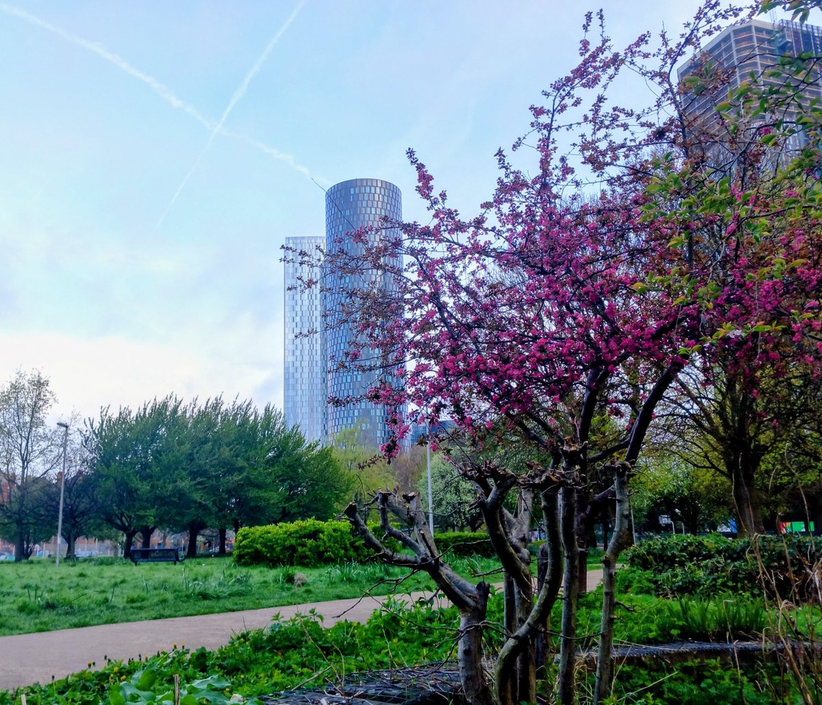 MonicaCrimmins's tweet image. Good morning Sunday.  Hulme Park views in Spring #Manchester