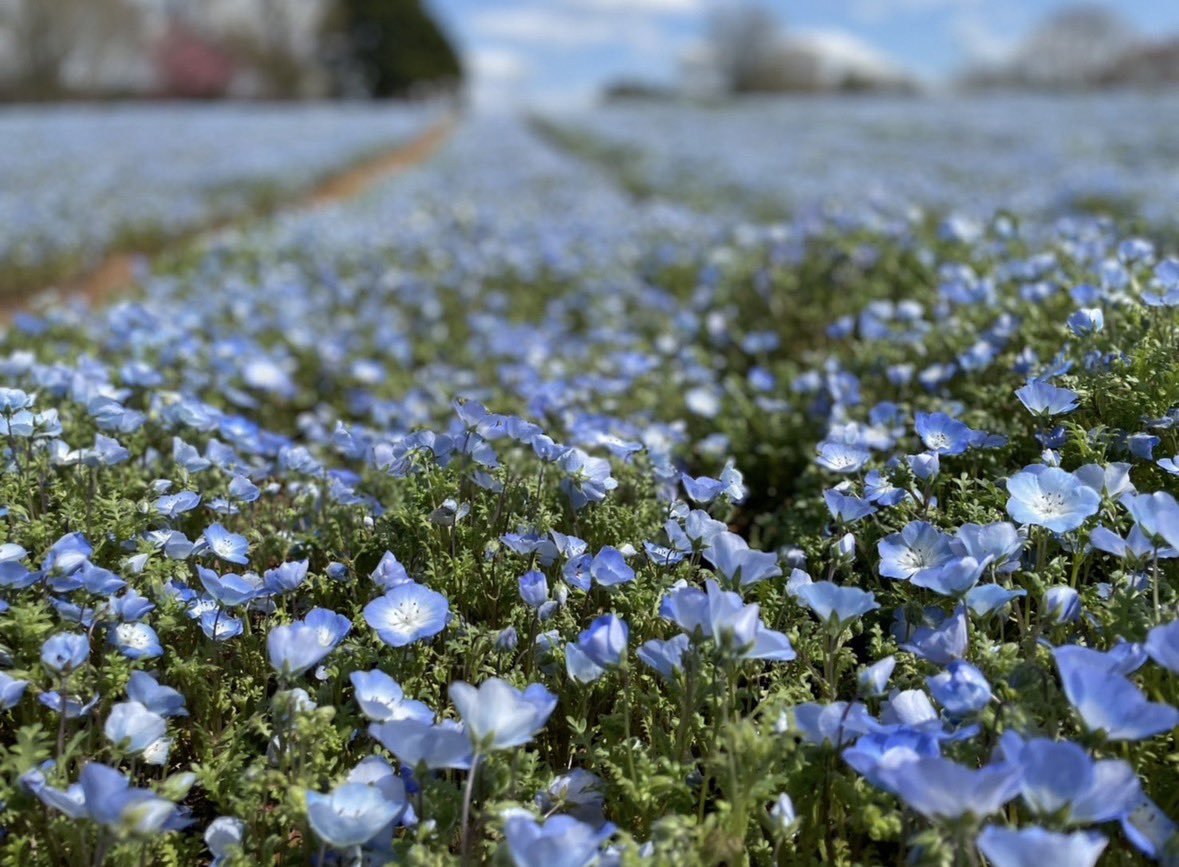 星 嫷＠むにむに tweet media