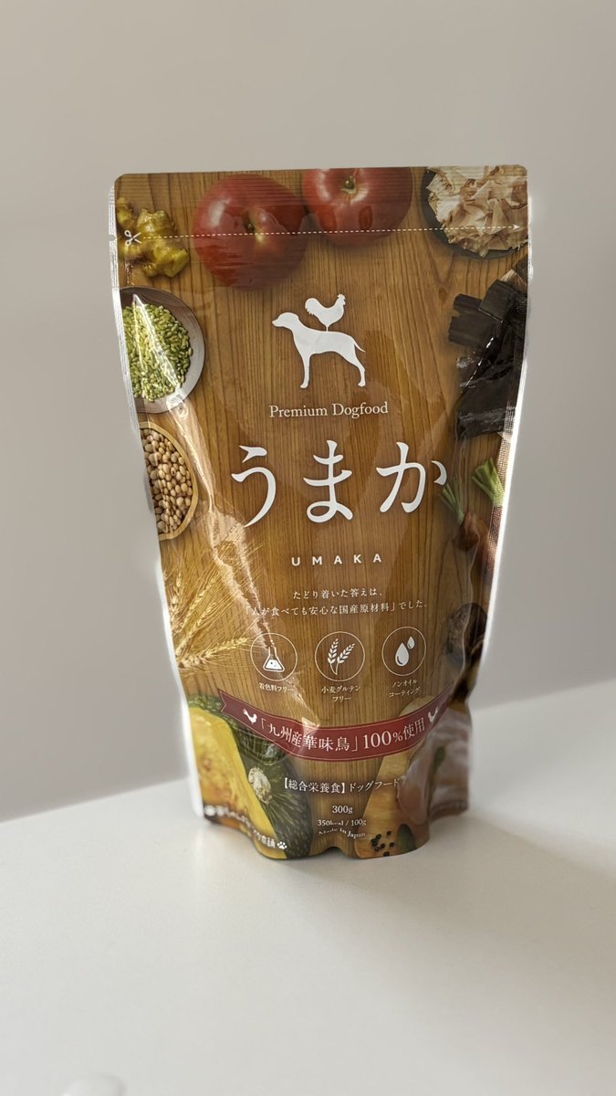 山口玲香のDOOG MORNING🐾 tweet media