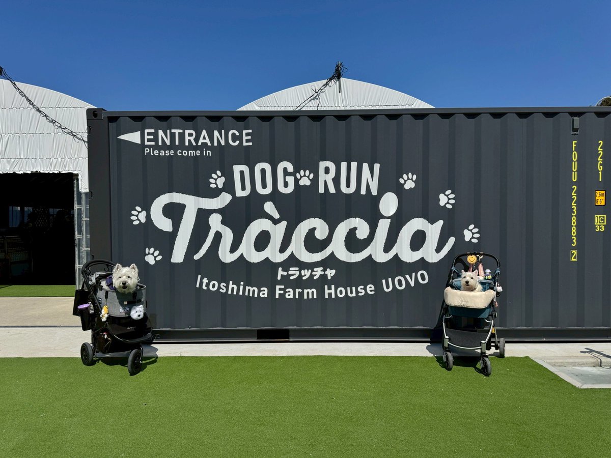 山口玲香のDOOG MORNING🐾 tweet media