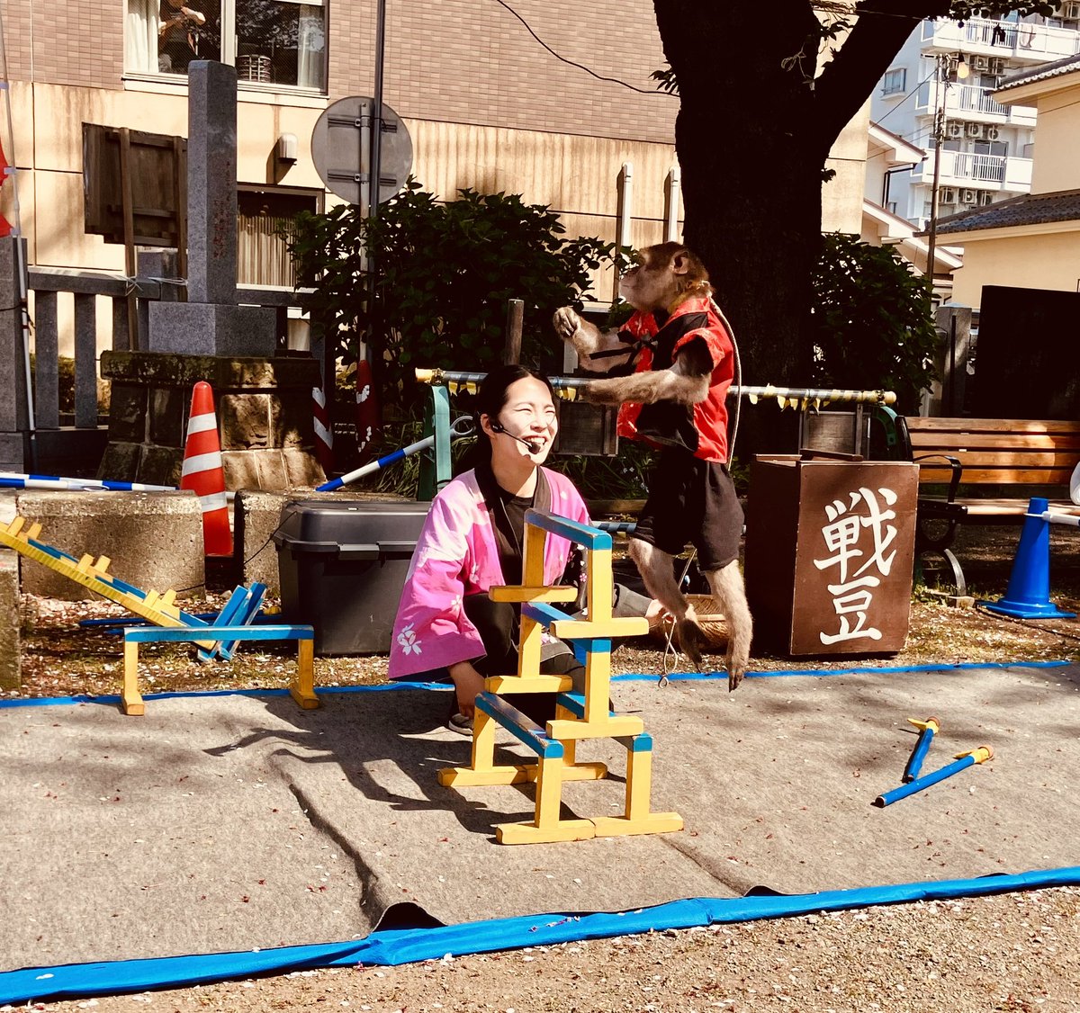 Md35005's tweet photo. 地元の神社の例大祭今年はハゲて（晴れて）
大勢の人がいて賑わってます。 https://t.co/fw0MWRQ5EA
