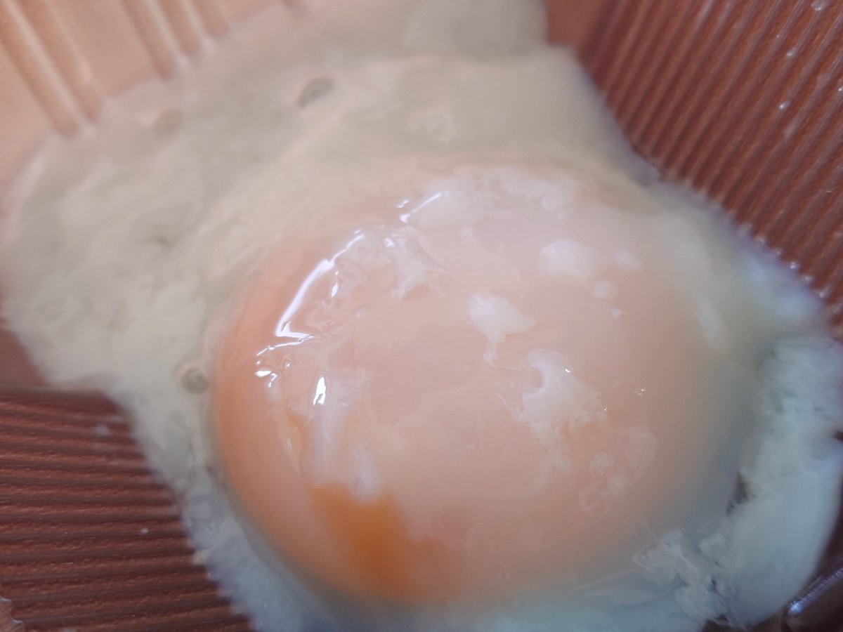 どすこいてじま tweet media