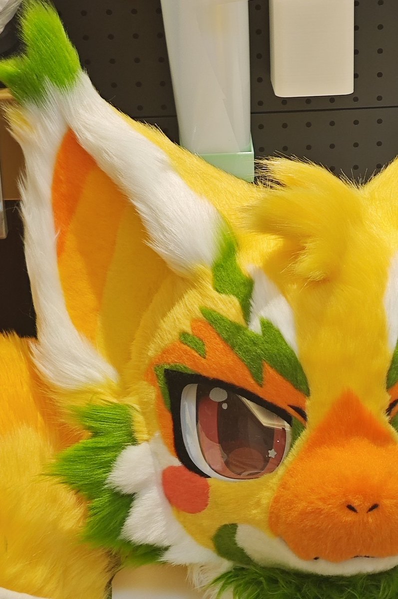 猫灵Catzero tweet media