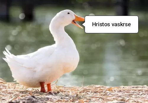 De Sad Markize? tweet media