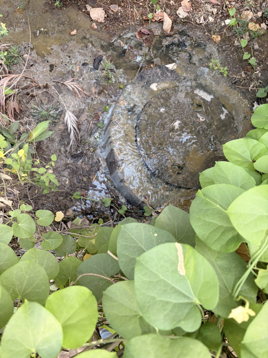 npkonline's tweet photo. @GHMCOnline @HMWSSBOnline Raised a complaint about septic tank overflow near our apartment 6 days ago. Without addressing the issue, ticket has been closed.

Please look into the issue soon.

@CommissionrGHMC @MC_Cyberabad https://t.co/mJUvprcAO4