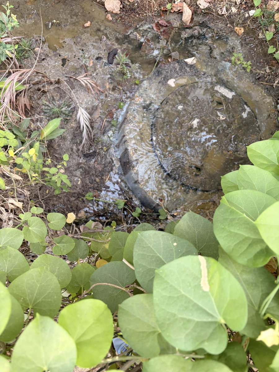 npkonline's tweet photo. @GHMCOnline @HMWSSBOnline Raised a complaint about septic tank overflow near our apartment 6 days ago. Without addressing the issue, ticket has been closed.

Please look into the issue soon.

@CommissionrGHMC @MC_Cyberabad https://t.co/mJUvprcAO4