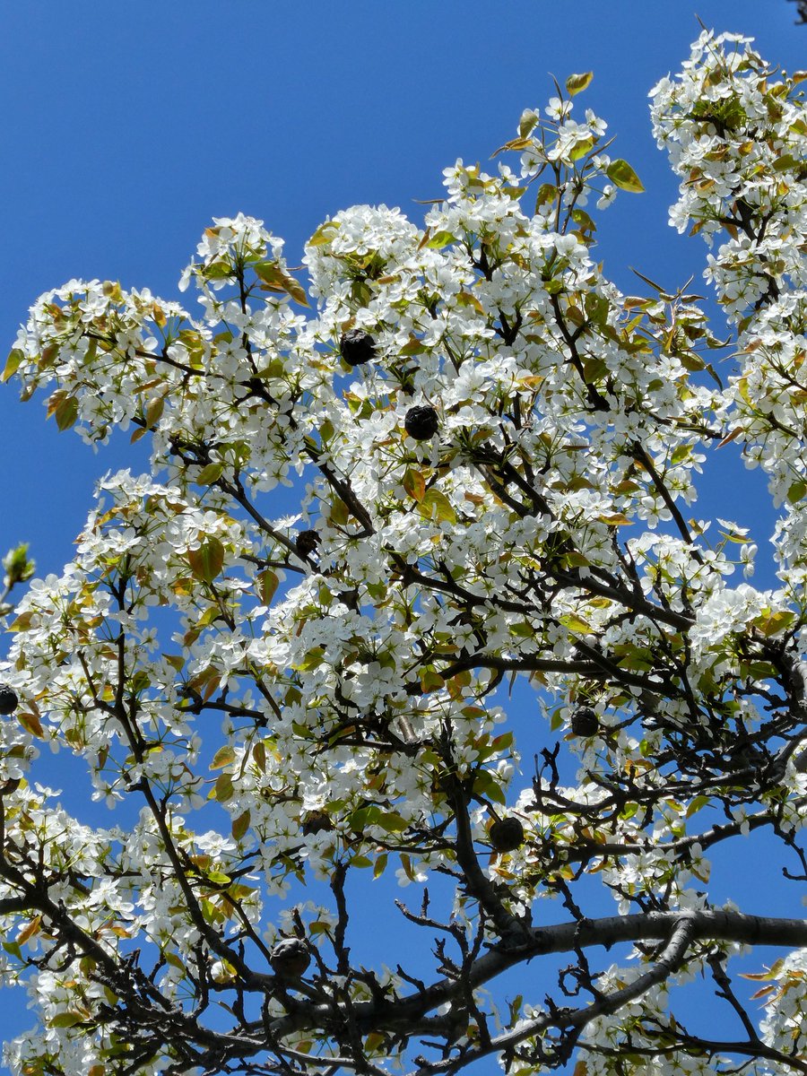 🐗 괴인 뿔엄니 tweet media