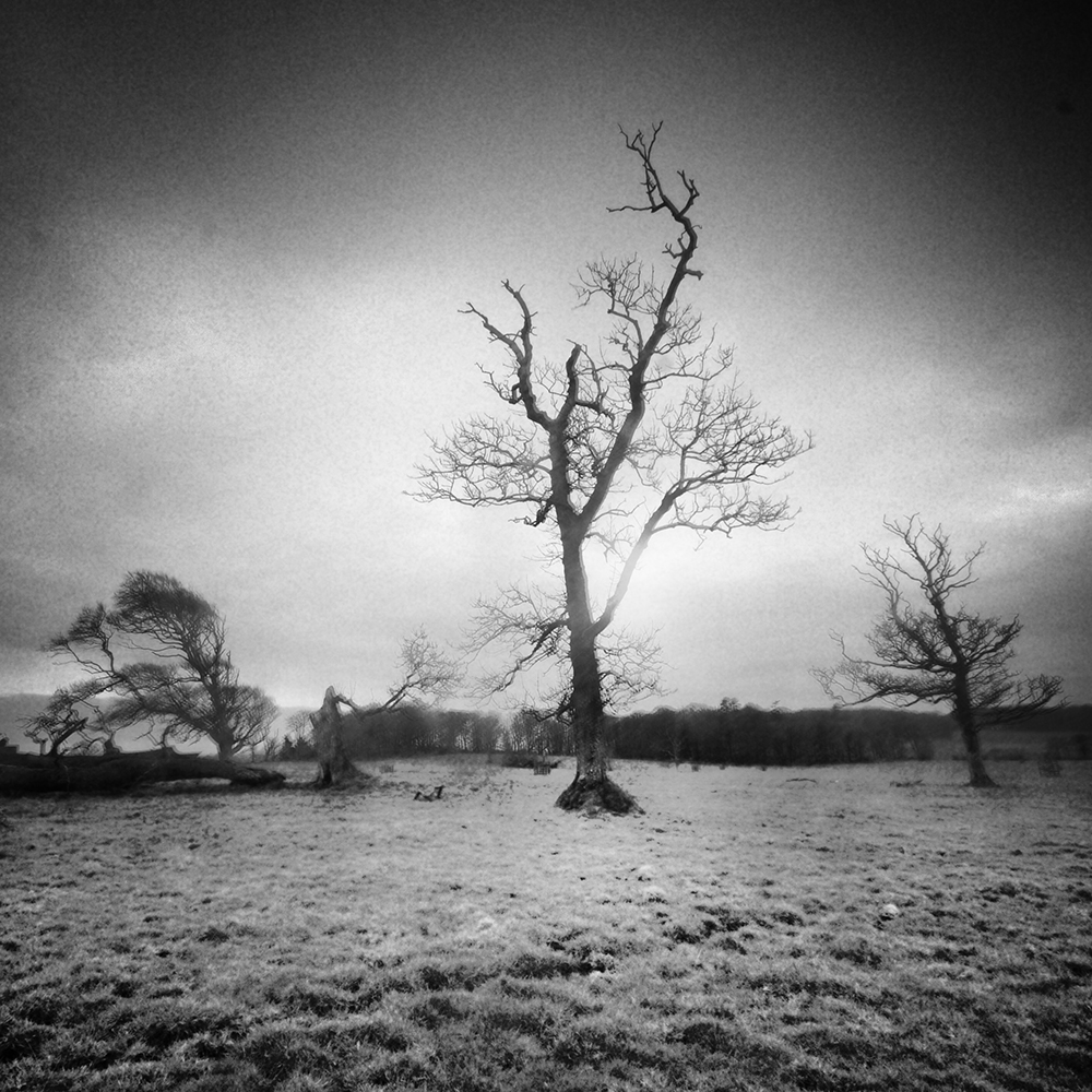 Dark_Galloway tweet media